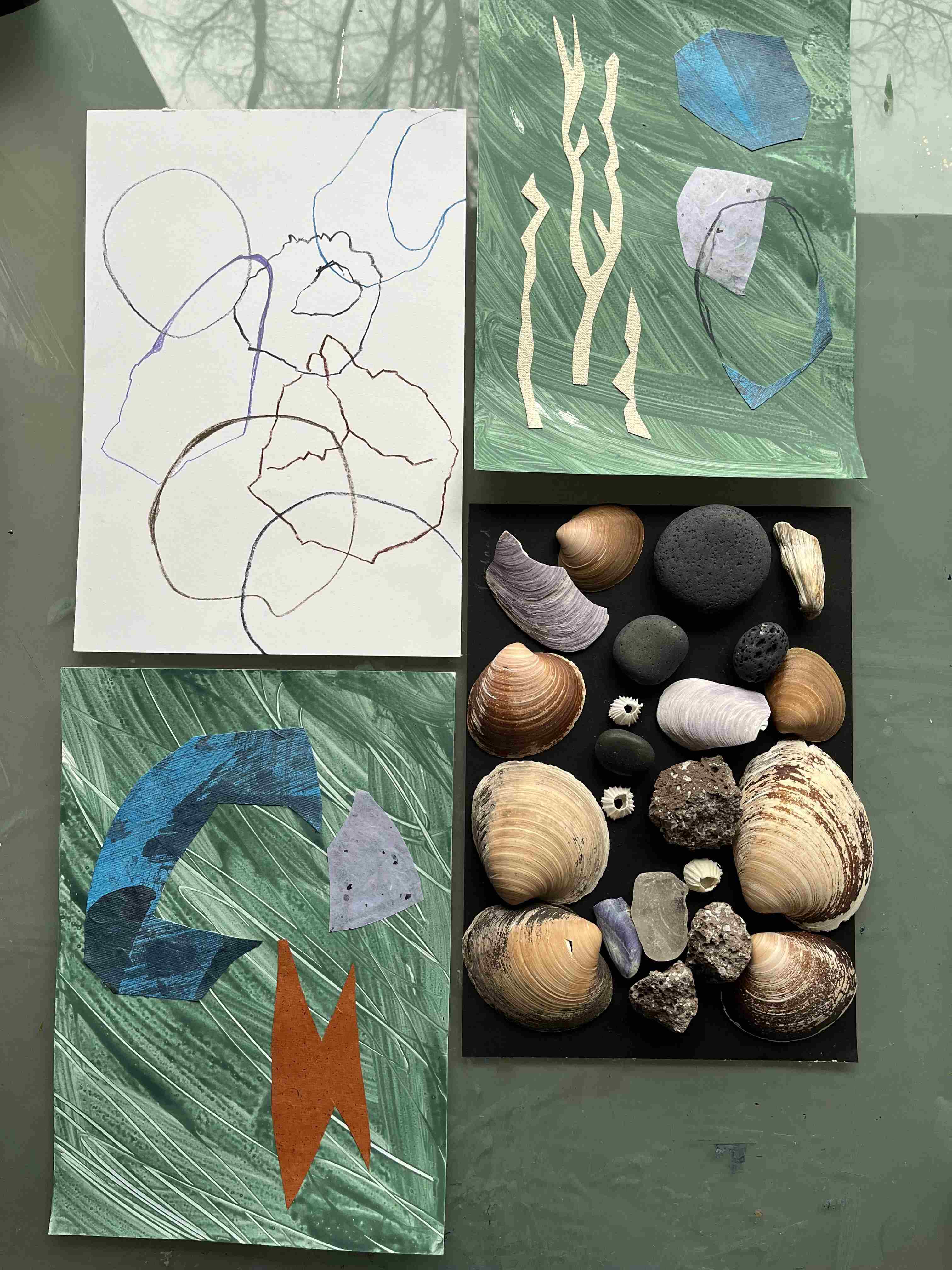 Sketches and Icelandic collected shells and pebbles